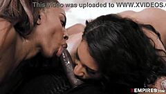 amari, anne, and zoey sinn with their delectable bodies deepthroating big cocks in a wild 3some, cowgirl and missionary action