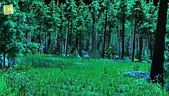 In alternate existence 88, big tits and ass are featured