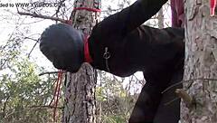 Tied Latina Rough Fucked!