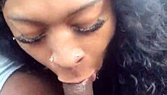 Big black cock gets deepthroat by amateur girlfriend