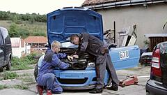 Is Doggy Pounding Electrifying Enough?