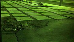 i watch my tattooed alt girl deepthroat and titty fuck