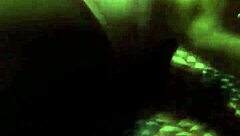 Lily Adams Feral Blowjob Pov