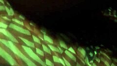 Lily Adams Feral Blowjob Pov