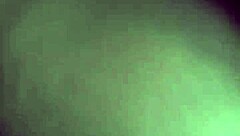 Phatcat is fucking hard in the woods, bent over and everything!