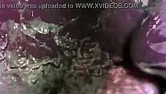 Vintage Taboo Pussy & Pooch