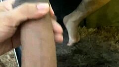 Young Brazilian bodybuilder gets his ass fucked hard