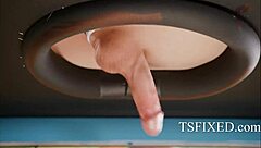 Avery runs a wild tranny farm with hardcore twists