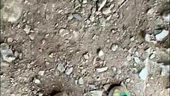 Compilation of homemade porn with cumshots and squirting orgams