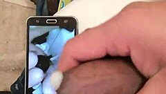 new tribute to the chilean cucumber