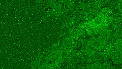 teen feet in shower squirting golden shower on face