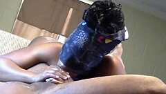 ebony shae devours jay's big black cock with deepthroat, blowjob, and ball licking in part one