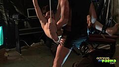 intense orgy trio with blowjobs, hardcore bdsm, masked in latex