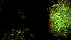 Detailed Vintage Erotic Illustrations From Antique Hentai And Anime