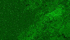 can you fist my pussy?