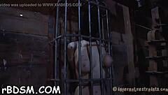 Adorable Blonde Uses Sex Tool On Her Perfect Pussy