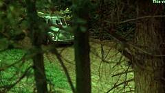 Sexy Nude Blonde in Car?