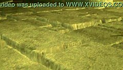 Busty Elf Dominates Man Rewarded By Cock