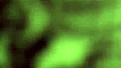 mi madrastra tiene una manera muy peliculiar de limpiar la casa y yo aprevecho para culiar - historia completa