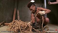 Black beauty gets flogged and fucked in a bizarre interracial group sex scene