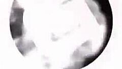 Sabina steele gets rough bareback assfucking