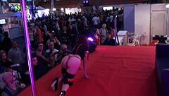 Barcelona Erotic Salon 2015 Sparks Wild Desires.