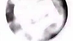 Is Alexa Staci's Body Magnificent Or What?