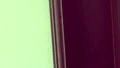 Tera Patrick Teases With Big Ass Shake By Pool