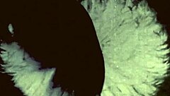 Vintage Bisexual Taboo In Secret Life