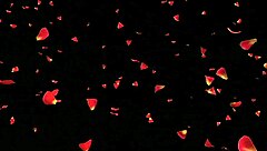 Her Secret Fantasy With Big Black Cock