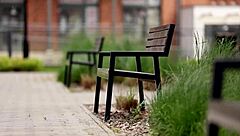 Baby Bump Oops in 3D Cartoon