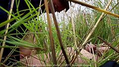 alexis crystal gets double penetrated by two big cocks in a cumshot scene