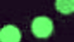 Mature woman shows her saggy tits on webcam in a personal session