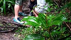 Machos Bent Over In Forest Orgy.