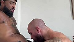 Was the fuck with this macho pure madness?