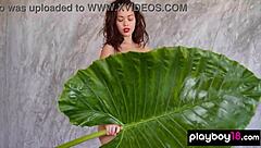 petite filipino muse kit rysha poses naked with huge leaf