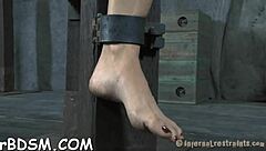 extraordinary s&m video tube