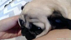 Briana Lee Member Show July 02nd 2015