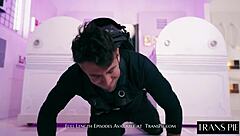 Beautiful shemale fucks shemale lesbians – who's next?