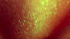 Hentai Vore Animation with Bonus Furry Angles