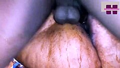 Can Squirting BBW Handle Big Cock Bang in Homemade Group?