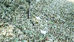 Redhead Craves Hard Outdoor Sex With Oral Cumshot Creampie Boobs