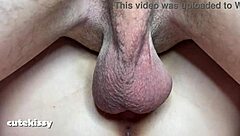 extreme close up of pussy breeding with nice creampie