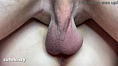 extreme close up of pussy breeding with nice creampie