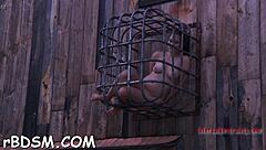 Intriguing videos of sadomasochism practices