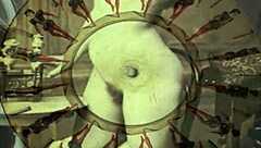 Vintage Illustration