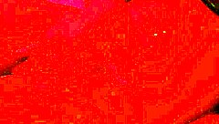 18 Year Old Nympho Masturbates To Orgasm!