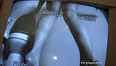 dayna vendetta sucks big black dick through glory hole for revenge