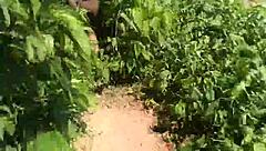 Ela me fez de corno e deu pros caras na praia - joy cardozo - bruna black