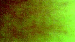 Amber Crider Fat Ass Cheating Whore Sucks And Gets Fucked